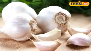 मीठा जहर! ये लोग भूलकर भी न करें लहसुन का सेवन, फायदे की जगह होगा बड़ा नुकसान