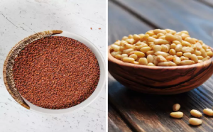 हार्वर्ड ने माना- 8 चीजों में भरा है खून बनाने का आयरन, खाकर चेहरा होगा लाल, डाइट में बढ़ाओ इनको