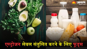 Estrogen लेवल में असंतुलन से हो सकती हैं कई समस्याएं, डाइट में ये फूड्स शामिल करने से मिल सकता है लाभ