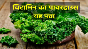 6 विटामिनों का खजाना है यह पत्ता, शरीर में घोल देता है अमृत का रस, खाने से ठहर जाएगी उम्र, दुर्लभ बीमारियां भी नहीं आएंगी पास