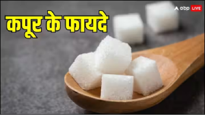 Camphor Benefits: कपूर सूंघने से क्या होता है? क्या है इसके फायदे, क्यों लोग रूमाल में इसे बांध कर रखते हैं?