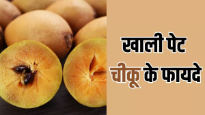 Benefits of Chikoo: सुबह खाली पेट चीकू खाने के हैं ढेरों फायदे, जानकर आप भी हो जाएंगे हैरान