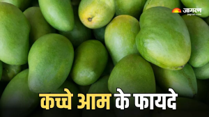 Raw Mango Benefits: स्वाद और सेहत का लुभावना मेल है कच्चा आम, फायदे जानकर हो जाएंगे हैरान