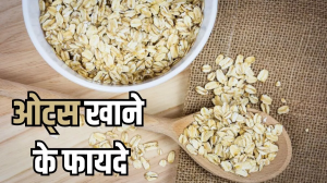 ब्रेकफास्ट में Oats खाने के हैं अनलिमिटेड फायदे, Weight Loss से लेकर कैंसर तक के खतरे को करता है कम