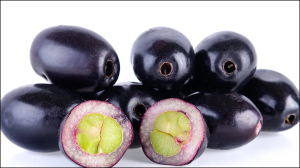 डायबिटीज के मरीज ऐसे करें जामुन का इस्तेमाल, पत्ते से लेकर गुठली तक हर चीज है फायदेमंद