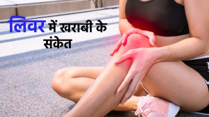 World Liver Day 2024: शरीर में नजर आने वाले ये लक्षण करते हैं लिवर परेशानियों की ओर इशारा, न करें अनदेखी