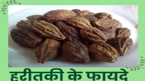 आयुर्वेद की शक्तिशाली जड़ी-बूटी है हरीतकी, जानें इसके फायदे और इस्तेमाल करने का तरीका