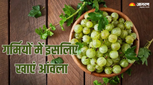 कई समस्याओं का रामबाण इलाज है Amla, गर्मियों में इसे खाने से मिलेंगे ये 5 शानदार फायदे
