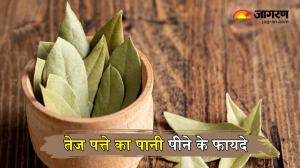 सुबह खाली पेट पी लें Tej Patte का पानी, ब्लोटिंग सहित कई परेशानियां रहेंगी दूर