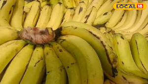 फाइबर से भरपूर है ये 5 फूड्स, गर्मी के मौसम में जरूर करें सेवन, मिलेंगे गजब के फायदे