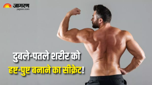 दुबले-पतले शरीर को देखकर अब नहीं चिढ़ाएंगे लोग! आज से ही खाएं ये 5 चीजें, जल्द मिलेगा हष्ट-पुष्ट शरीर