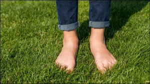 क्या सुबह नंगे पैर घास पर टहलने से वाकई आंखों की रोशनी बढ़ती है, जानिए क्या है सच्चाई