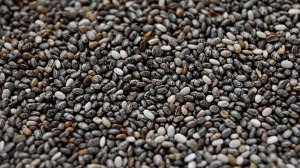 चिया सीड्स के सेवन से हड्डियां होती हैं मजबूत, शरीर को मिलते हैं ये अनगिनत फायदे; जानें कैसे करें सेवन?