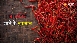ज्यादा लाल मिर्च के शौकीन है, तो संभल जाएं, सेहत को हो सकते हैं ये नुकसान
