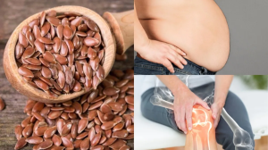हड्डियों का बन गया है चुरा तो डाइट में शमिल करें ये बीज, Bones होंगे हेल्दी...मोटापा भी होगा कम; जानें कैसे करें सेवन?