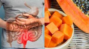 पपीता में मिलाकर खाएं ये एक चीज़, सालों के कब्ज की हो जाएगी छुट्टी; जानें खाने का सही समय?