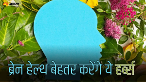 रोज की भागदौड़ ने कमजोर कर दी है आपकी याद्दाश्त, तो Brain Health में सुधार करेंगे ये 4 हर्ब्स