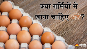 क्या गर्मियों में अंडे खाना हो सकता है हानिकारक? जानें क्या है सच्चाई