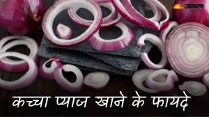 बेहतर पाचन से लेकर दिल को हेल्दी बनाने तक, कच्चा प्याज खाने से सेहत को मिलते हैं ढेरों फायदे