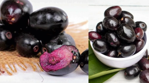 आ गया जामुन का मौसम...डायबिटीज का काल है ये फल; जानें High Sugar को कम करने के लिए कैसे करें इस्तेमाल?