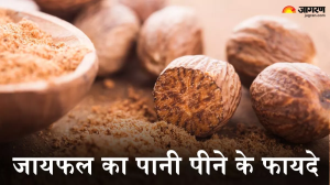 जायफल का पानी पीने से मिलेंगे कई चमत्कारी फायदे, जानें क्यों है यह दिल-दिमाग और त्वचा के लिए वरदान