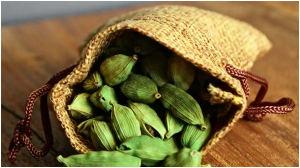 गर्मियों में सुबह-सुबह उठते ही खा लें ये दो चीजें, रग-रग में भर जाएगा पोषण