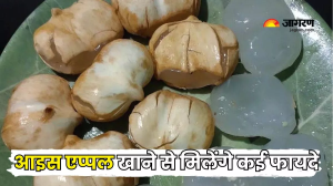गर्मियों में Ice Apple खाने से मिलते हैं गजब के फायदे, स्किन से लेकर बालों तक को मिलता है लाभ