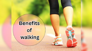 Health News: शरीर के फैट को गलाने के ये तरीका है बेहद आसान, गायब हो जाएगा चुटकियों में मोटापा