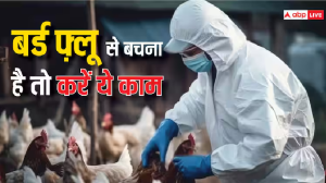 Bird Flu बन सकती है खतरनाक महामारी ! तुरंत इन पक्षियों से हो जाएं सावधान