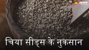 परफेक्ट फिगर की चाहत में आप भी भर-भरकर खा रहे हैं Chia Seeds, तो हो सकते हैं ये नुकसान
