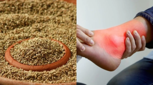 यूरिक एसिड को यूरिन के ज़रिए छानकर बाहर निकाल देता है अजवाइन, कब्ज में भी मिलता है आराम; जानें कैसे करें सेवन?