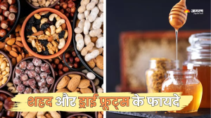 Dry Fruits को इस तरह खाने से मिलेंगे सेहत को ढेरों फायदे, जानकर आप भी रह जाएंगे हैरान