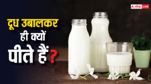 Raw Milk vs Boil Milk: सेहतमंद रहना है तो कच्चा दूध पीने से बचें, जानें दूध उबालकर पीने के फायदे