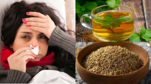 मॉनसून में सर्दी-खांसी से बचने के लिए अजवाइन से बनें इस देसी काढ़ा का करें सेवन, जानें कैसे बनाएं?