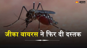 पुणे में मिले Zika Virus के दो पॉजिटिव केस, एक्सपर्ट से जानें बरसात में क्यों बढ़ जाते हैं इसके मामले