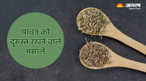 Healthy Digestion: पाचन से जुड़ी दिक्कतों से रहना है दूर, तो खानपान में शामिल करें ये 5 मसाले