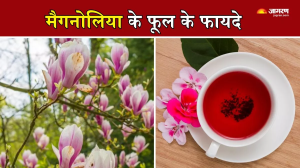 स्किन प्रॉब्लम से लेकर सिरदर्द को भी दूर कर देगा ये फूल, ऐसे करें अपनी डाइट में शामिल