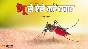 मानसून आते ही बढ़ जाता है Dengue का कहर, इन तरीकों से करें अपनी और अपनों की हिफाजत