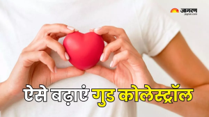 हार्ट अटैक के खतरे को कम करने में मदद करता है Good Cholesterol, इन तरीकों से बढ़ाएं इसका लेवल