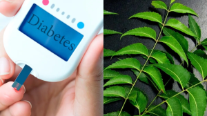 डायबिटीज के मरीज़ों के लिए ये हरी पत्तियां हैं अमृत समान, High Sugar में तीन तरीकों से कर सकते हैं इस्तेमाल