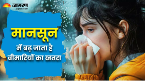 Monsoon Diseases: मानसून में ऐसे रखेंगे सेहत का ख्याल, तो नहीं पड़ेंगे बार-बार बीमार!