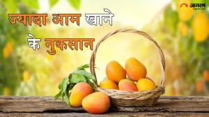 गर्मियों के मौसम में जमकर उठा रहे हैं आम का लुत्फ, जानें जरूरत से ज्यादा आम खाने के नुकसान