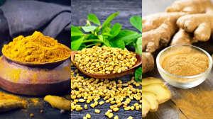हल्दी-सोंठ और मेथी का मिश्रण है बेजोड़, ऐसे करेंगे इस्तेमाल तो Uric Acid की हो जाएगी छुट्टी; सर्दी-खांसी से भी मिलेगी मुक्ति