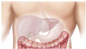 फैटी लिवर होने पर घी और नारियल तेल का सेवन करें सीमित : विशेषज्ञ
