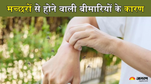 बरसात में क्यों बढ़ जाता है Mosquito Borne Disease का खतरा, बचने के लिए अपनाएं ये तरीके