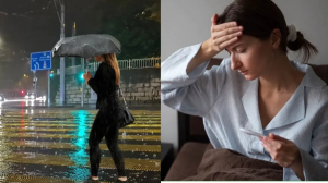 बारिश में डेंगू ही नहीं ये बीमारियां भी तेजी से फैलती हैं...डॉक्टर से जानें बचाव के बेहतरीन उपाय?