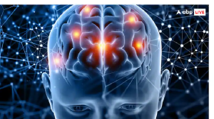 Healthy Brain Tips : दिमाग को हेल्दी रखने के लिए सबसे जरूरी हैं ये तीन विटामिन्स, रिसर्च में आया सामने