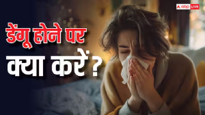 Dengue Treatment: डेंगू होने के बाद क्या अस्पताल में भर्ती होना जरूरी है? जानें क्या कहते हैं एक्सपर्ट
