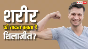 Shilajit: क्या वाकई में शरीर की ताकत को बढ़ाता है शिलाजीत? जानें हेल्थ पर क्या पड़ता है असर