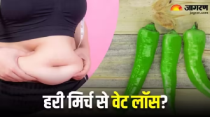 क्या Weight Loss के लिए फायदेमंद होती है हरी मिर्च? सच्चाई जानकर आप भी रह जाएंगे दंग